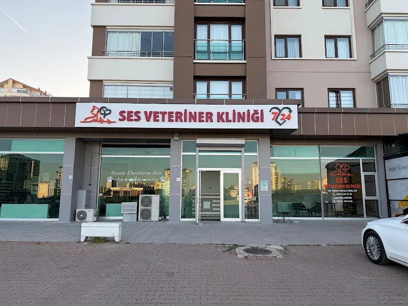 Ses Veteriner kliniği foto 1