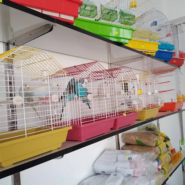 Yeşiltepe petshop foto 2