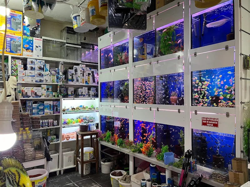Yalçın Akvaryum & Pet Shop foto 1