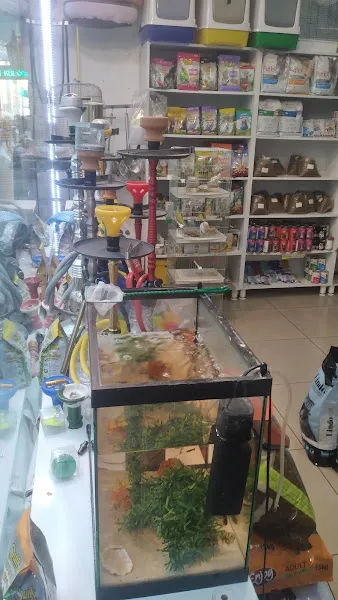 Deniz Nargile ve Petshop foto 2
