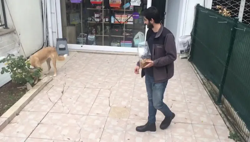 Mamalan Evcil Hayvan Ürünleri foto 1