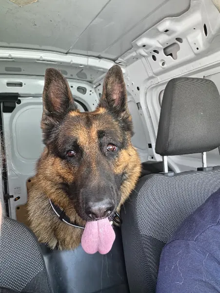 Pax Pati Veteriner Kliniği foto 2