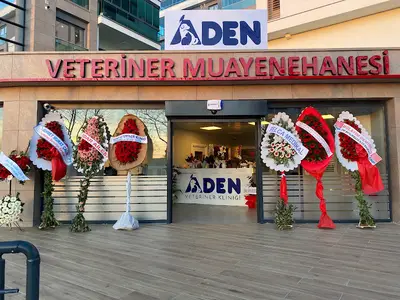 Aden veteriner muayenehanesi