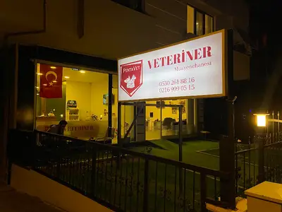 Pentavet Veteriner Muayenehanesi fotoğrafı