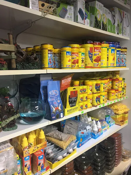 ttpetshopelvankent foto 1