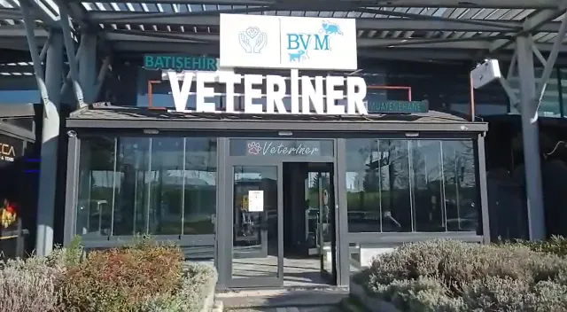 Batışehir Veteriner Kliniği foto 2