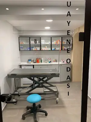 Nispetiye Veteriner Kliniği