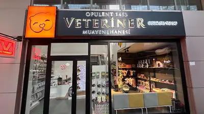 Sarıyer Opulent 1453 Veteriner Kliniği fotoğrafı