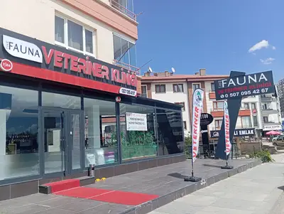 FAUNA VETERİNER KLİNİĞİ fotoğrafı