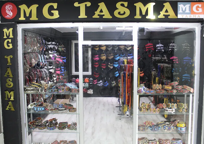 Mg Tasma foto 1
