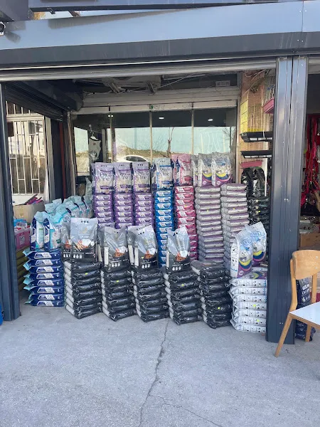 Uğur pet shop foto 2