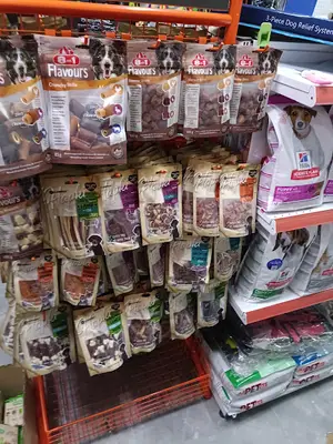 Toptanpet