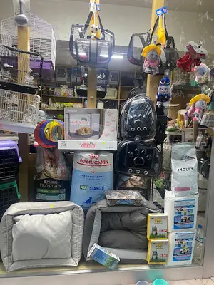 PetOwner PETSHOP BABASİNAN