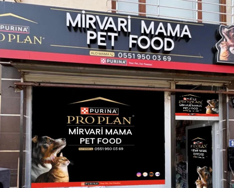 MİRVARİ MAMA foto 2