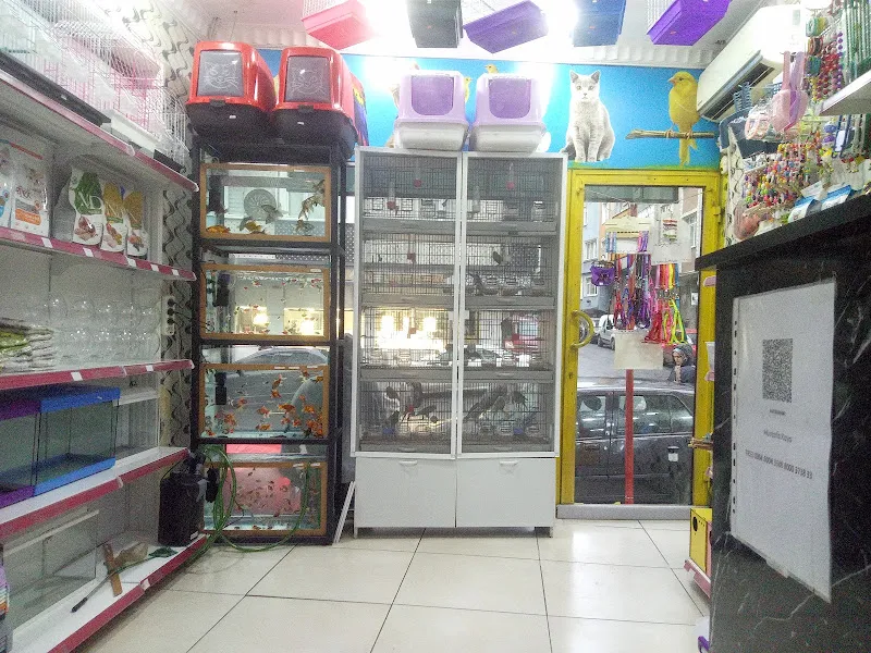 Maskot Petshop foto 2