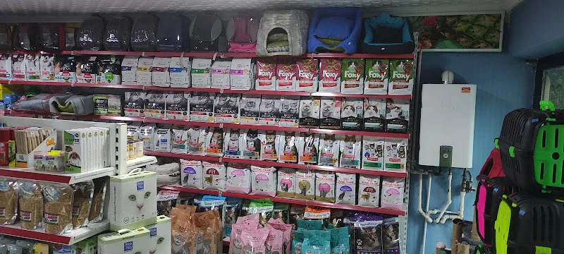 TİTİŞ PETSHOP foto 2