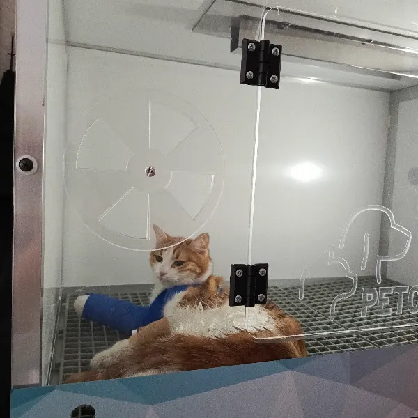 pakize veteriner hizmetleri foto 1