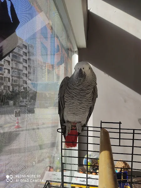 Elta petshop 2 foto 1