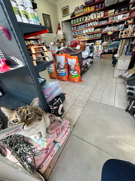 ZuZu Pet Shop foto 1