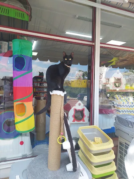 ZuZu Pet Shop foto 2