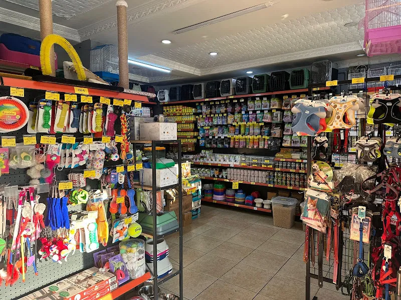 patizen pet shop foto 2