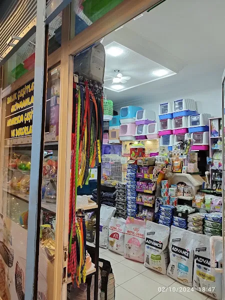 ÖZ ARSLAN PET SHOP foto 2