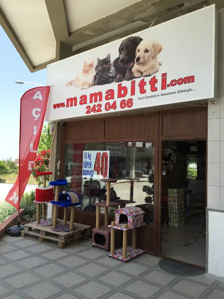 Bilmama Gifyy foto 1