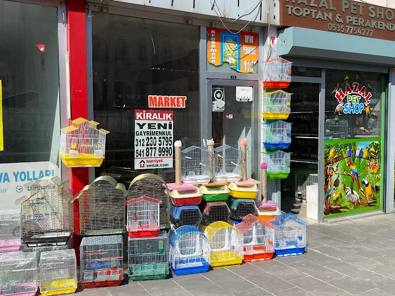 Hazal PetShop foto 1