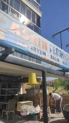 Asrın Petshop fotoğrafı