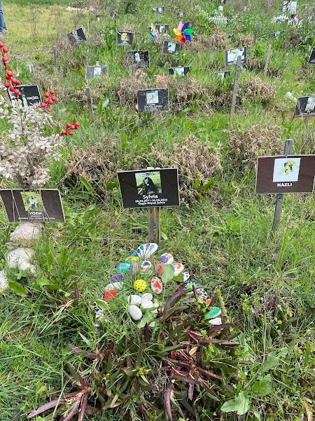 Ömerli hayvan barınağı (doğal yaşam) foto 2