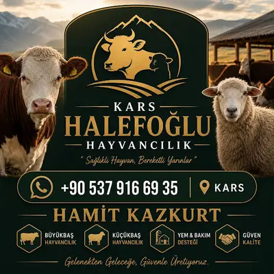 rıfat evcil hayvan
