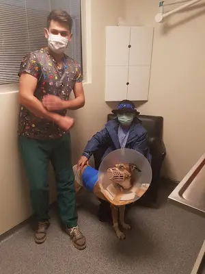 Beysukent Veteriner Kliniği fotoğrafı