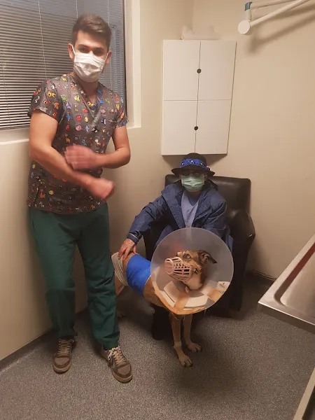 Beysukent Veteriner Kliniği foto 1