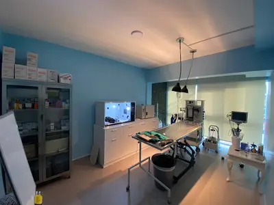 Veternal Veteriner Kliniği fotoğrafı