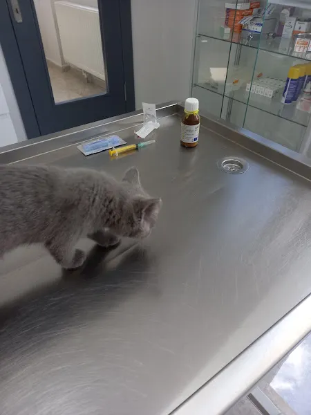 Eryaman Pethouse Veteriner Kliniği foto 2