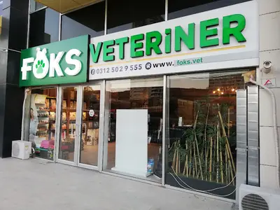 Beytepe Veteriner Kliniği ( Tanı ve Tedavi Merkezi ) fotoğrafı