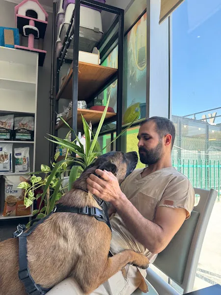Beytepe Veteriner Kliniği ( Tanı ve Tedavi Merkezi ) foto 2