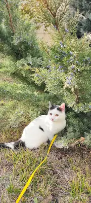 Çakırlar Veteriner Kliniği fotoğrafı