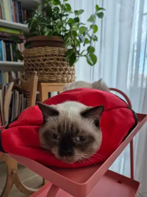 Epik Veteriner Kliniği fotoğrafı