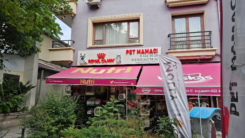 Pet Mamacı Kolej foto 1