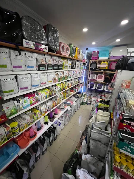 Aynalı Petshop foto 2