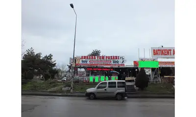 petcansın fotoğrafı