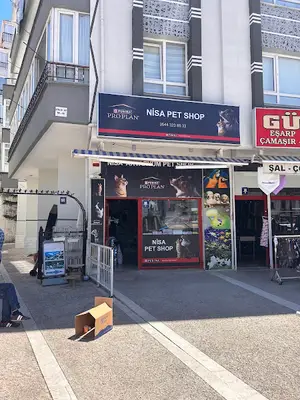 Nisa Petshop & Akvaryum fotoğrafı