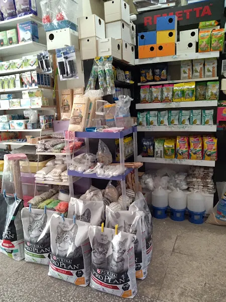 Nisa Petshop & Akvaryum foto 2
