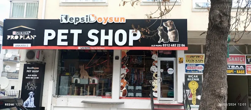Hepsi Doysun Pet Shop - H&D Pet Kuaför foto 2