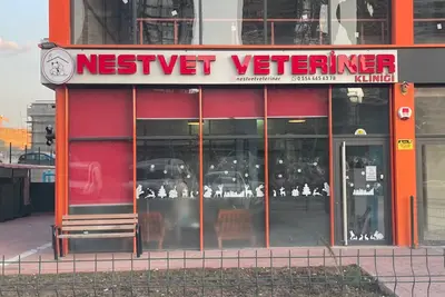 Nestvet Veteriner Kliniği fotoğrafı