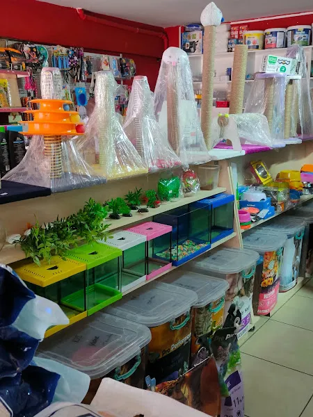 Bi Dünya PetShop foto 2