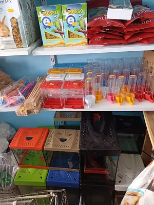 Mavi Petshop fotoğrafı