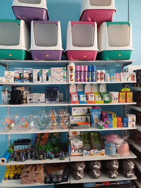 Mavi Petshop foto 2