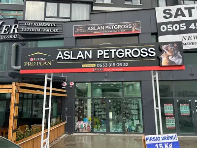 Aslan Petgross Yeşilova fotoğrafı